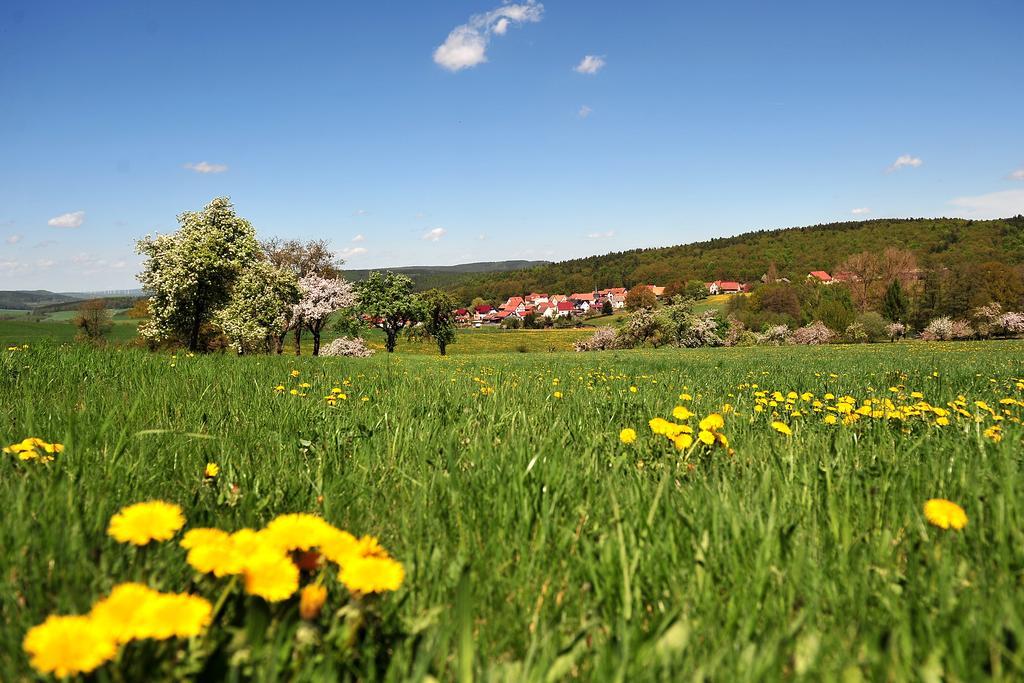 Landhotel Zur Gruenen Kutte Bernshausen Exteriör bild
